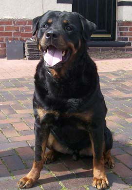 Ralph